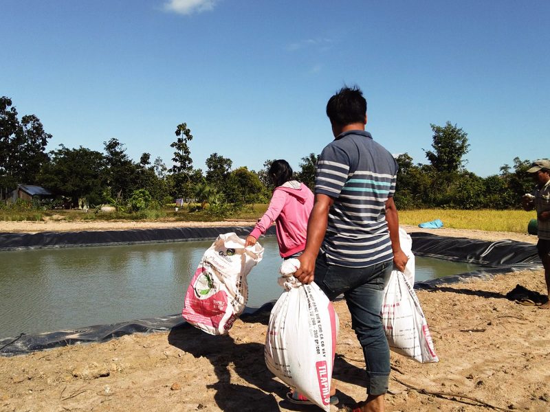 Woman Aquaculture Charity Fishfarming Kambodscha 1